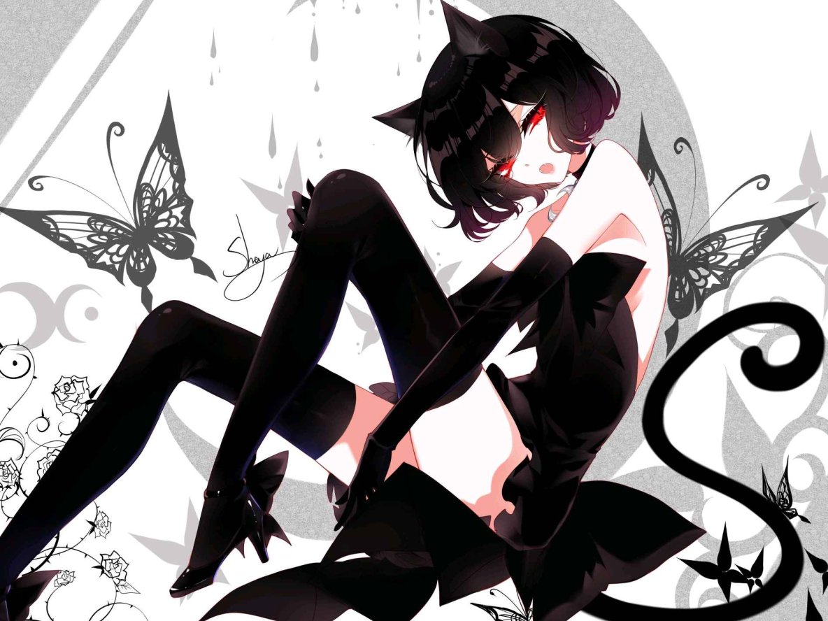 【斑马百科】斑马百科7科全（海洋、昆虫、鸟类、恐龙、天文、植物、人体）