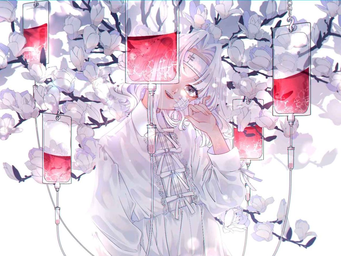 A01 迪迪狗的一天 DiDi’s day 零基础必看